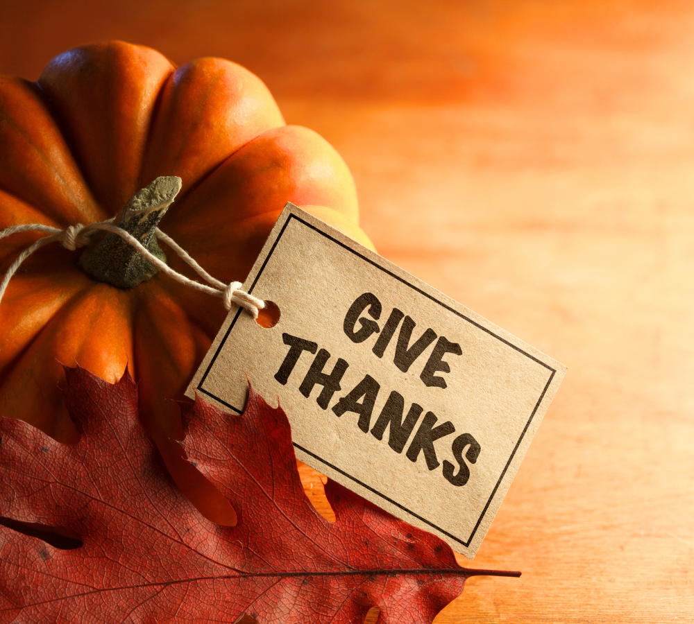 November Newsletter