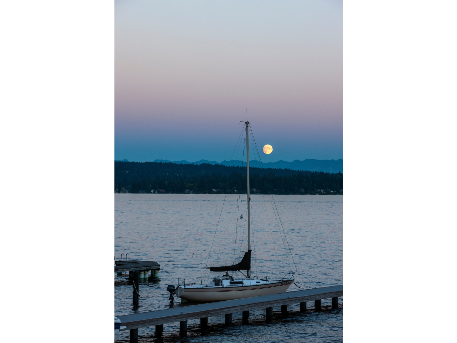 25-Tammara Stroud Design-Interior Design-Seattle-Laurelcrest.png