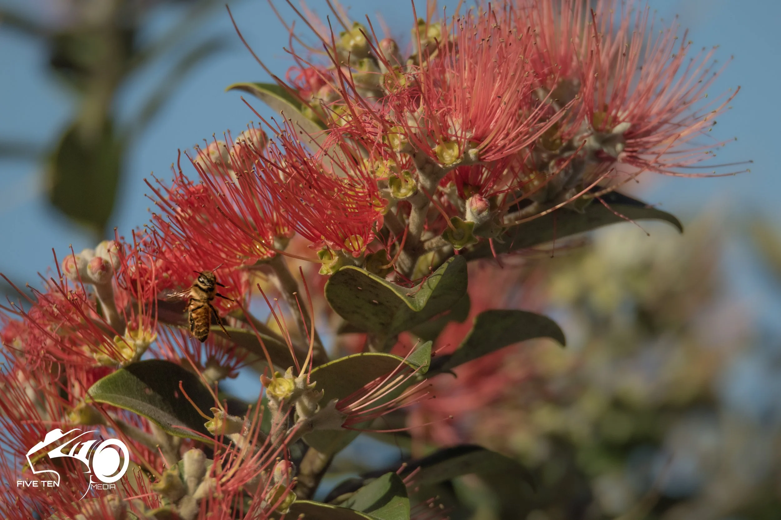 I BEELIEVE I CAN FLY.jpg