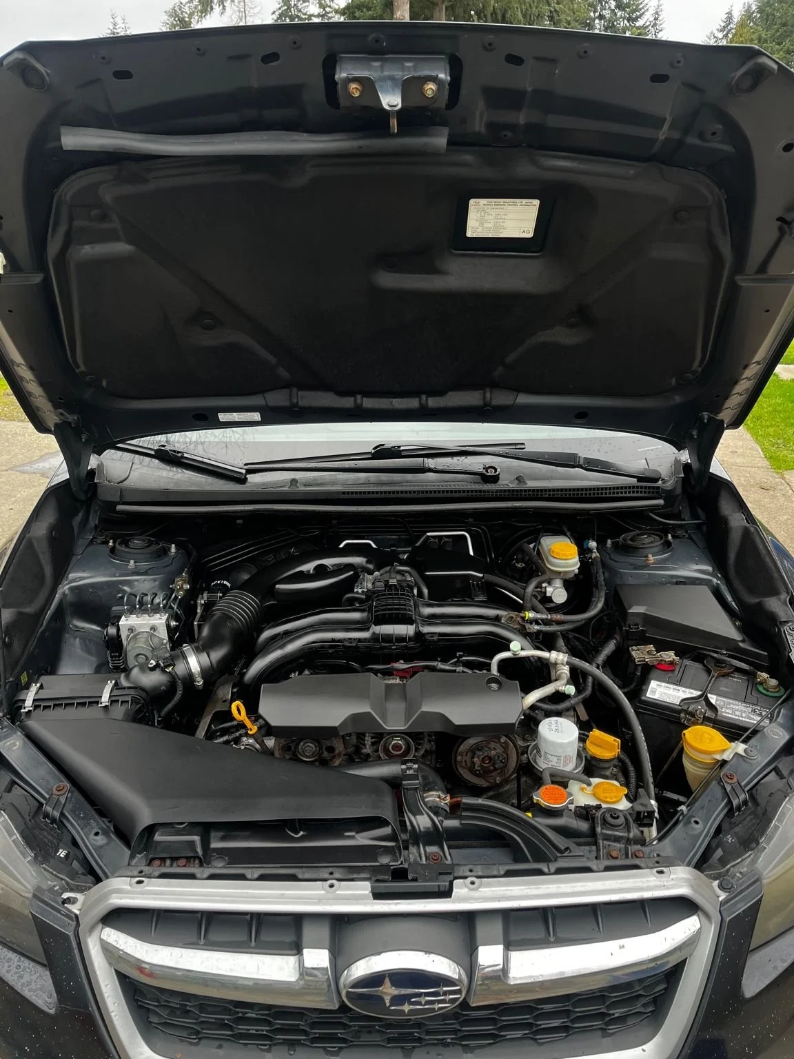 Subaru Forestor engine bay fully cleaned and detailed by Bryanz Auto Detailing after safe engine cleaning results.