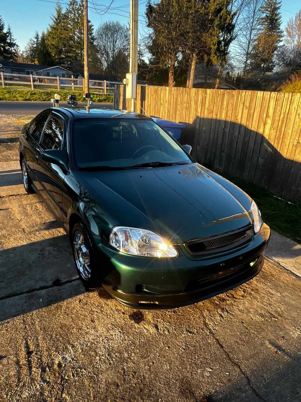 Green Honda Civic after professional paint correction and polishing by Bryanz Auto Detailing in Washington, showing deep gloss and metallic reflection under sunlight.
