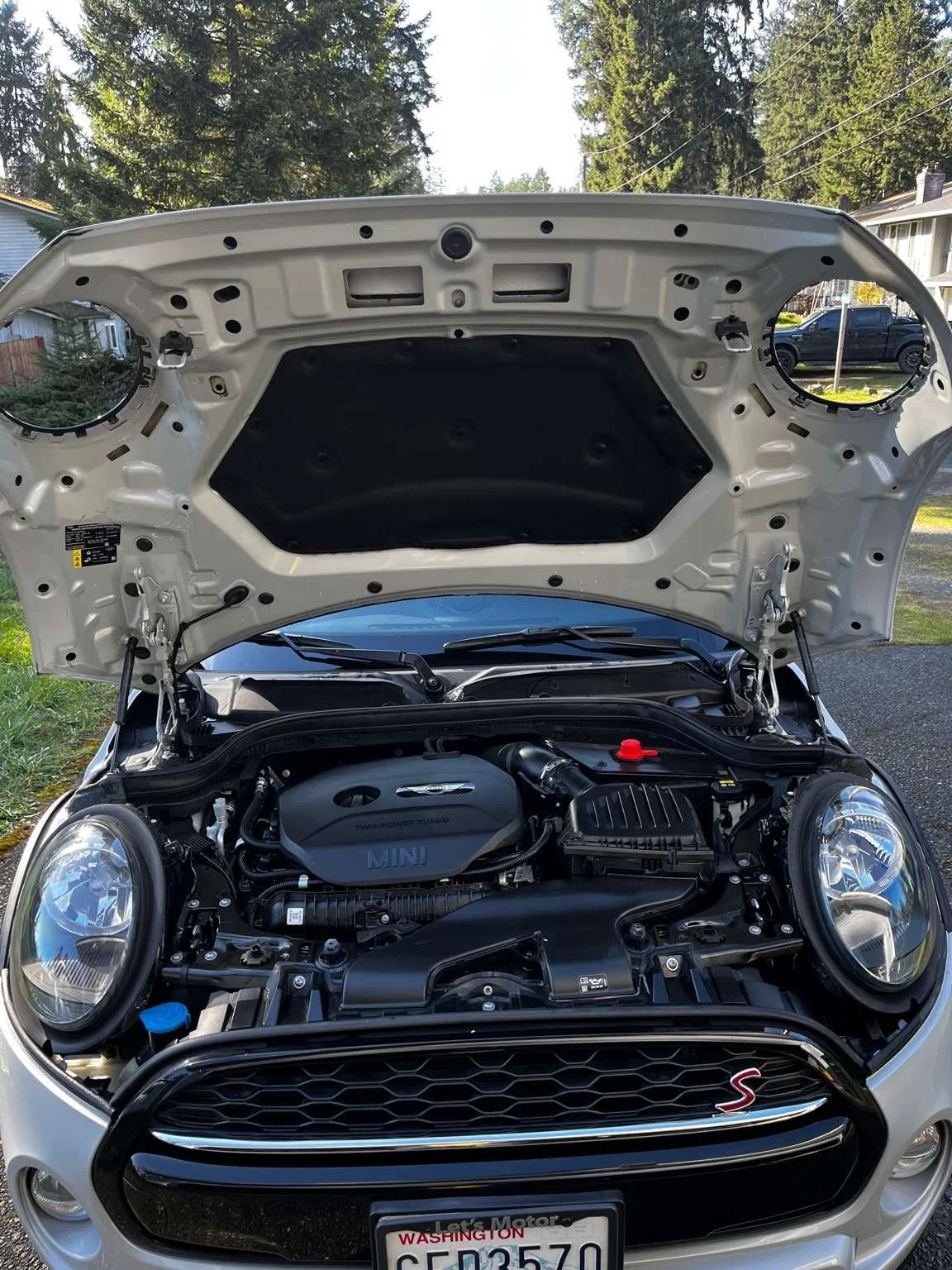 Mini Cooper S engine bay after professional engine cleaning by BryanzAutoDetailing