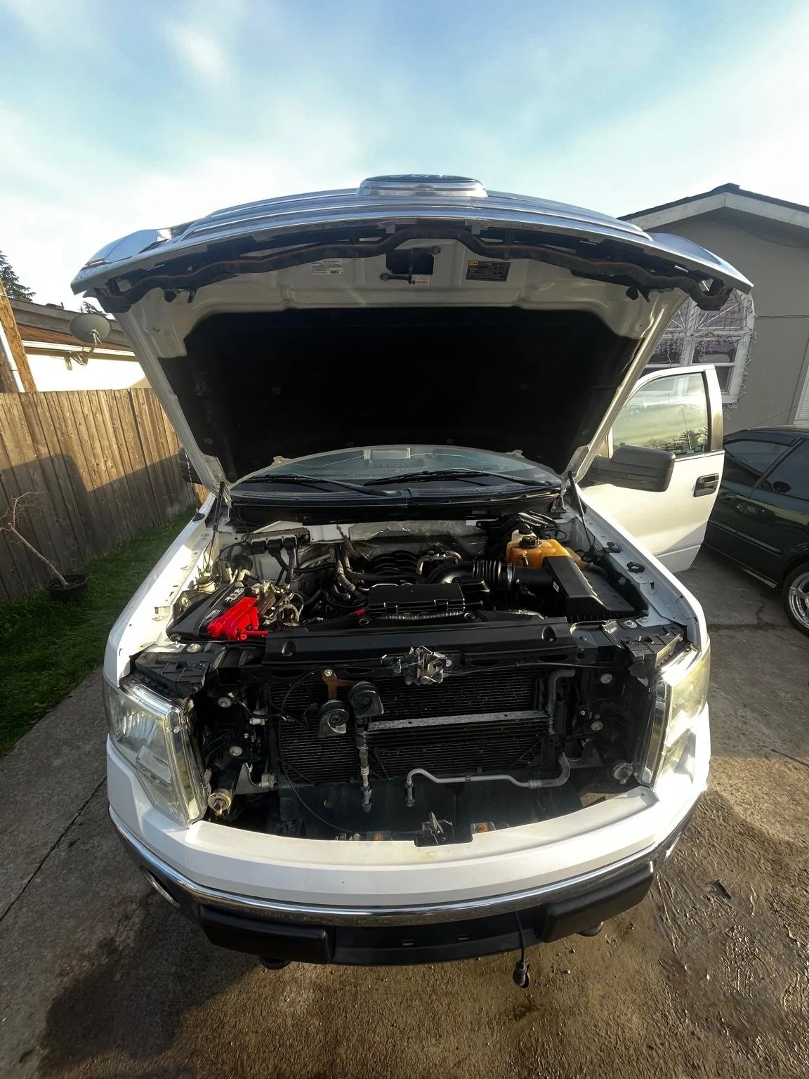 Ford F-150 engine bay freshly detailed by Bryanz Auto Detailing, showing a clean and restored engine compartment.