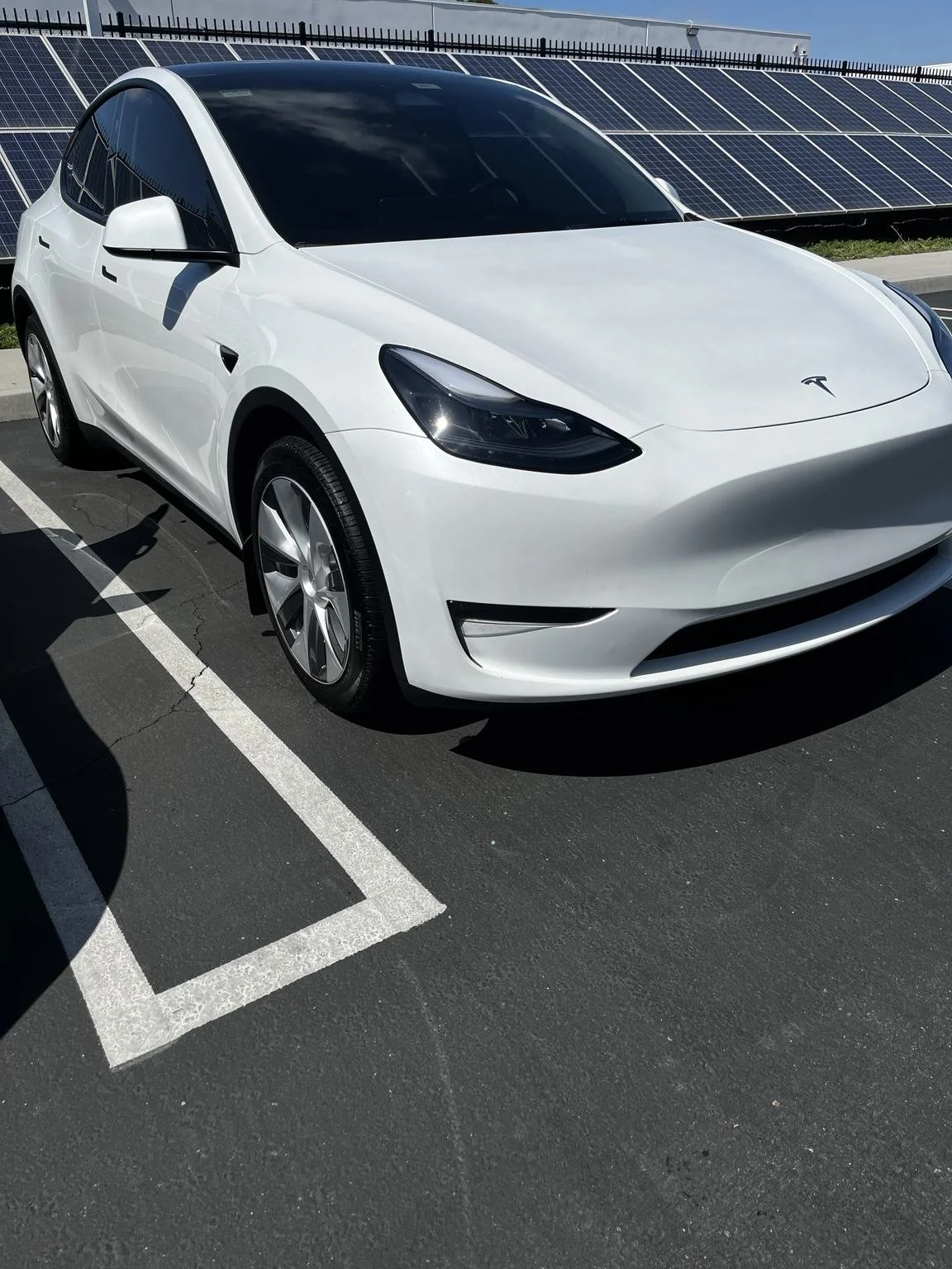 Tesla Model Y after professional mobile detailing service in Tacoma, Wa by Bryanz Auto Detailing