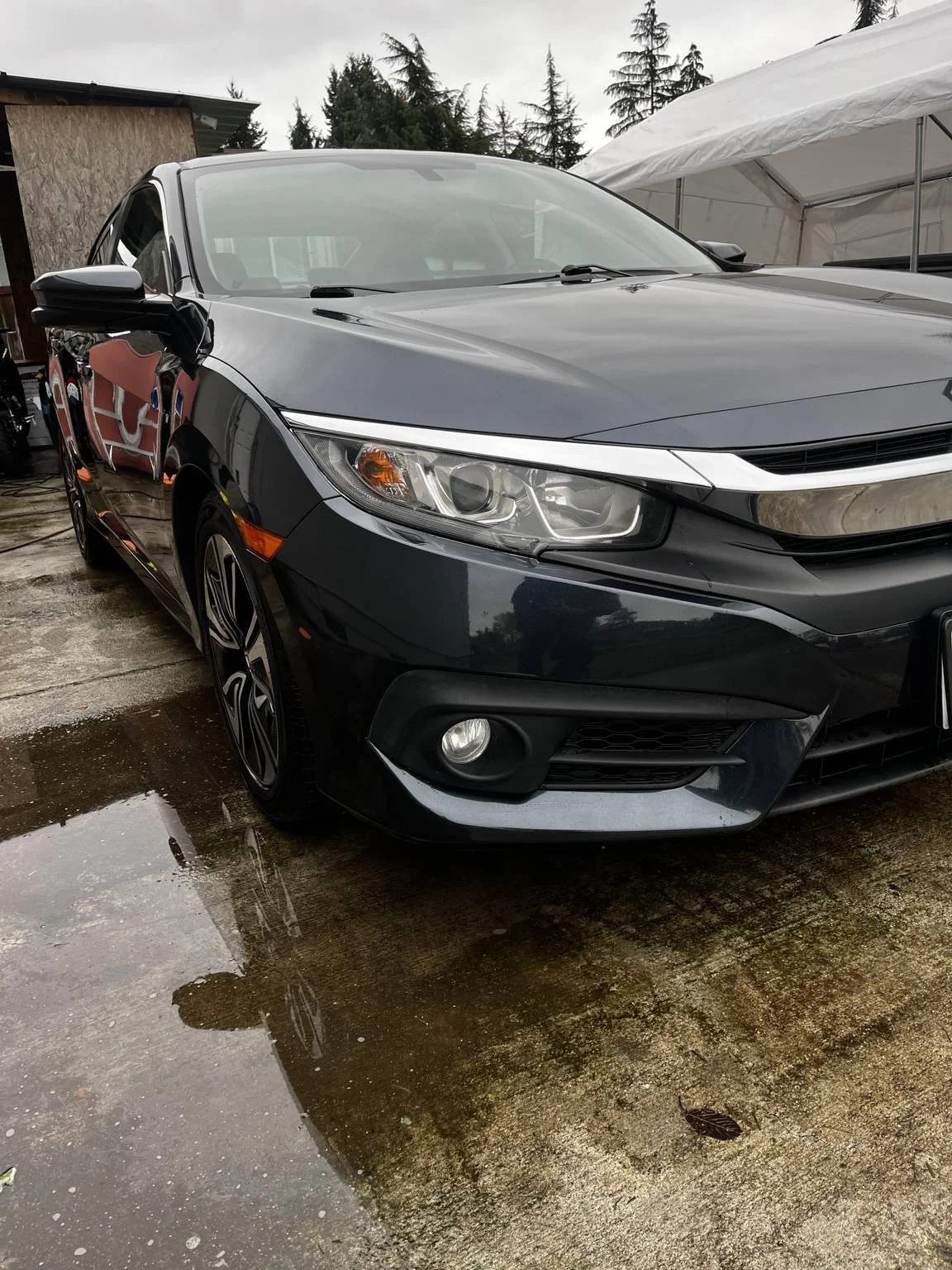 Dark gray Honda Civic with a clean, glossy exterior after a professional mobile wash and wax service in Bothell, WA by Bryanz Auto Detailing.