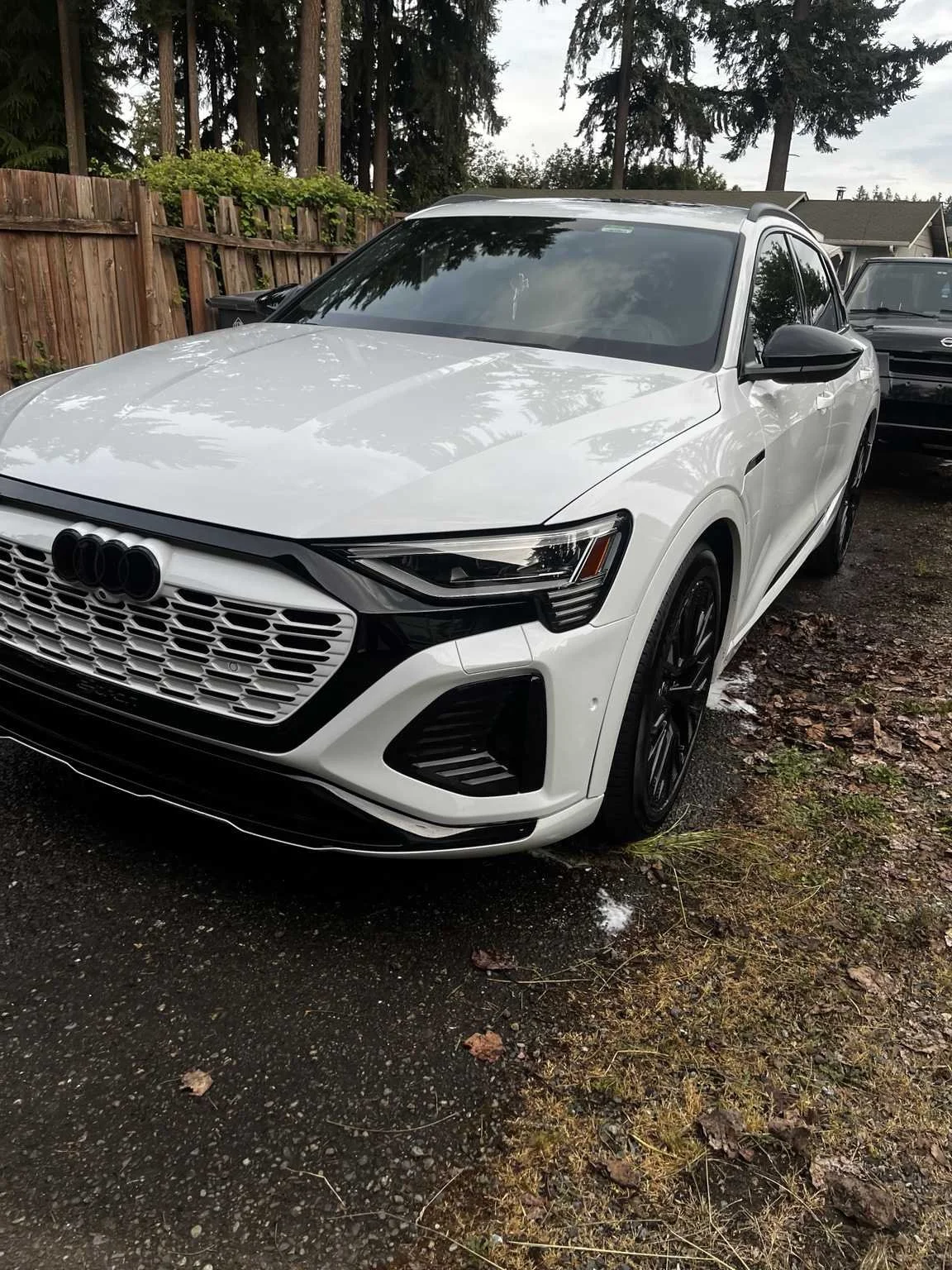 Luxury Audi e-tron after mobile exterior detailing service in Bonney Lake WA by Bryanz Auto Detailing featuring premium wash and paint enhancement for a showroom finish.