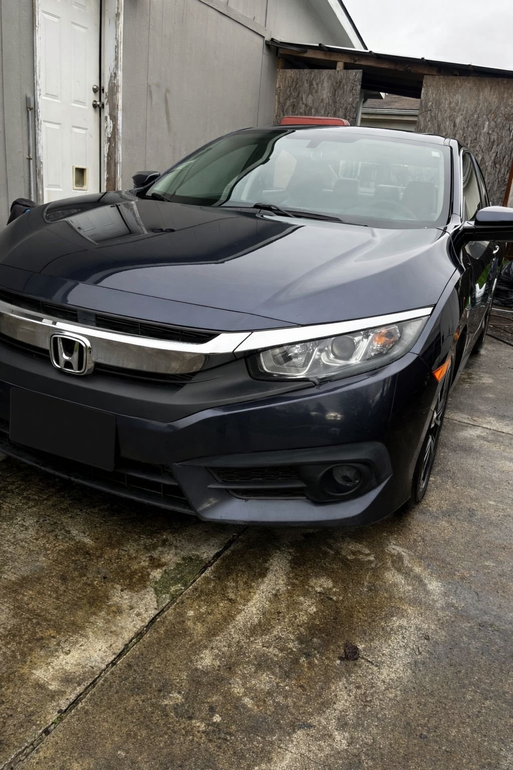 Honda Civic wash and wax service in Graham, WA with restored shine and protected paint finish.