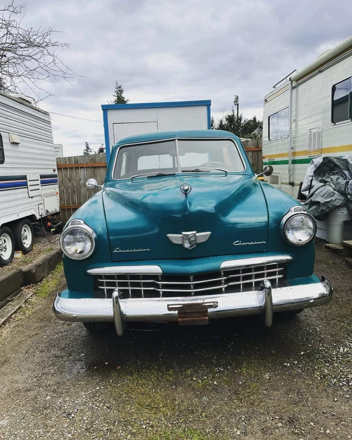 Classic Studebaker exterior detailing completed in Sumner, WA by Bryanz Auto Detailing