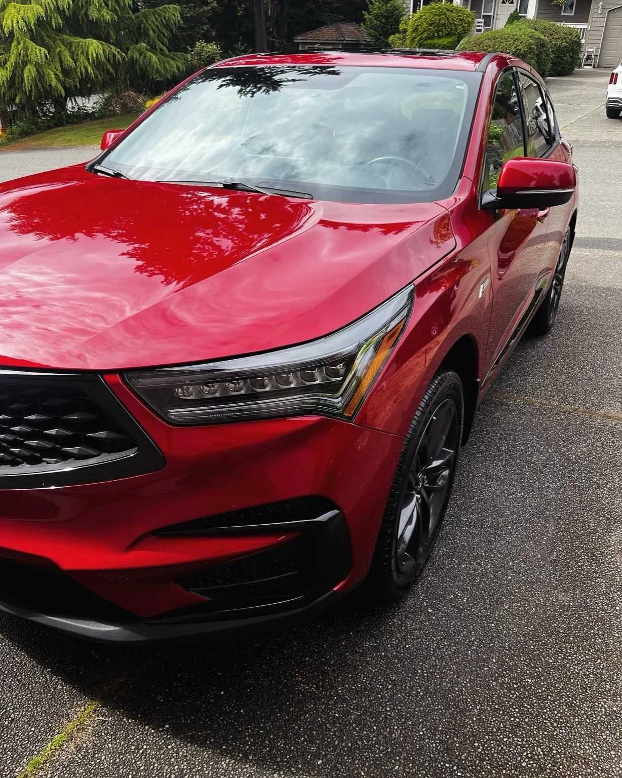 Shiny red SUV detailed in University Place, WA with professional exterior cleaning and polish.