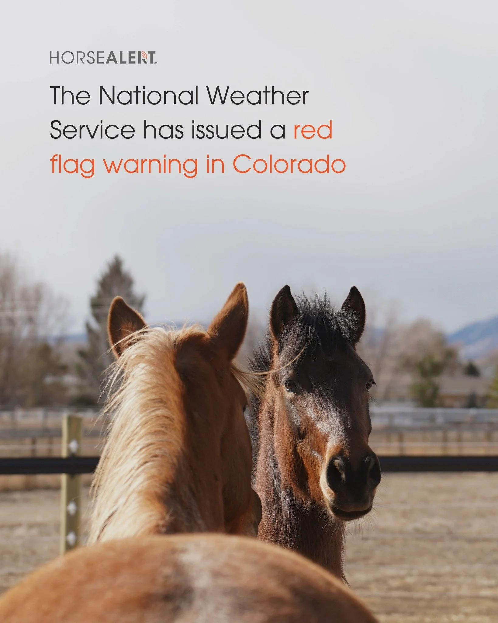 🚩 Red Flag Weather Warning for Colorado

After weeks of unusually dry conditions and record-setting warmth, the Front Range is now critically dry. With strong west winds expected Wednesday, wildfire risk is high.

This is a reminder that now is the 