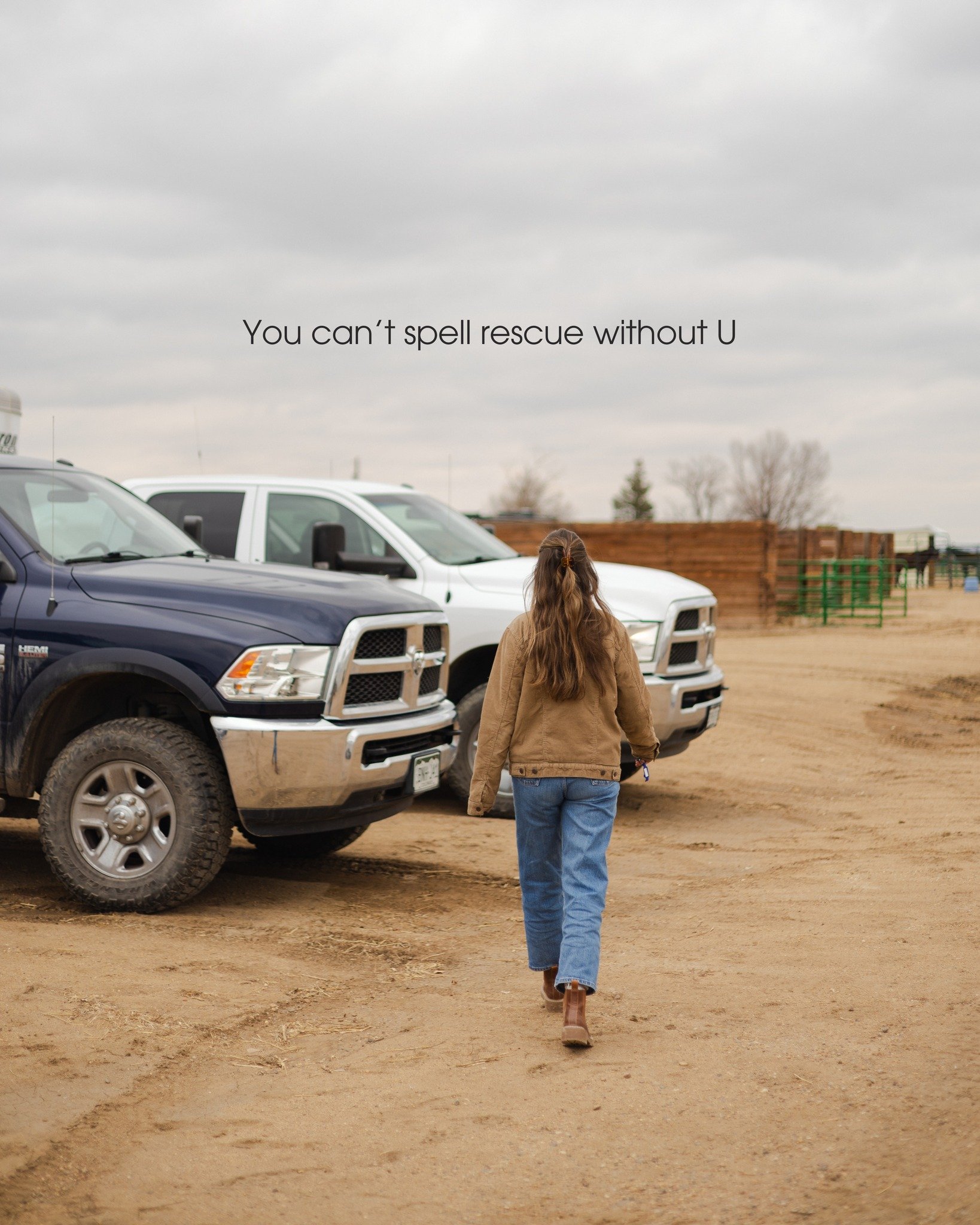 HorseAlert needs drivers like YOU to help protect horses when disasters strike 🚚

When wildfires, floods, or other disasters happen, horses don&rsquo;t have time to wait, and neither do their owners. That&rsquo;s where HorseAlert drivers step in.

W