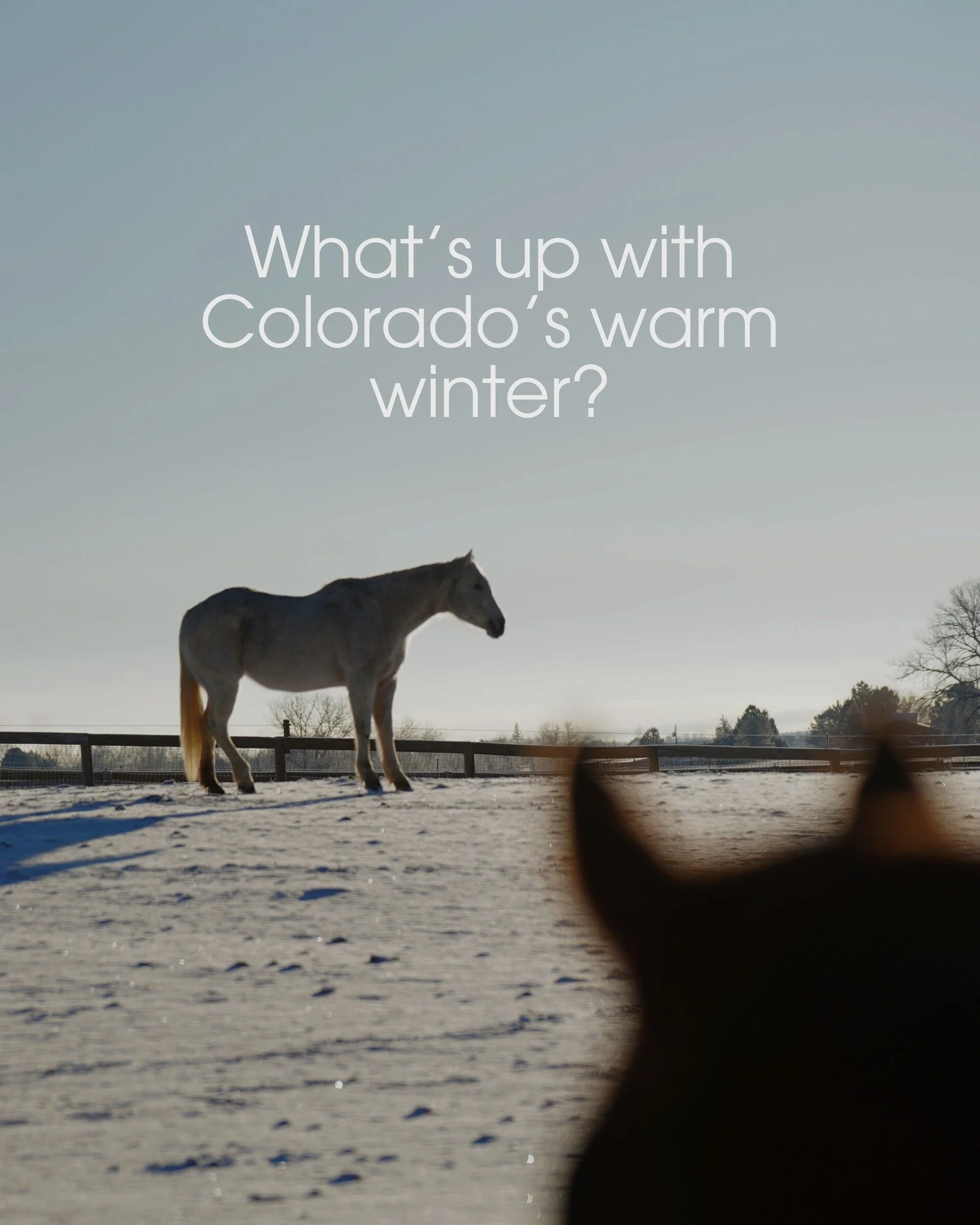 Colorado&rsquo;s winter has been on of the warmest and driest in history. With the risk of wildfires on the rise, education and preparedness is power 🧡

Learn about current weather trends by reading more from the National Interagency Fire Center&rsq