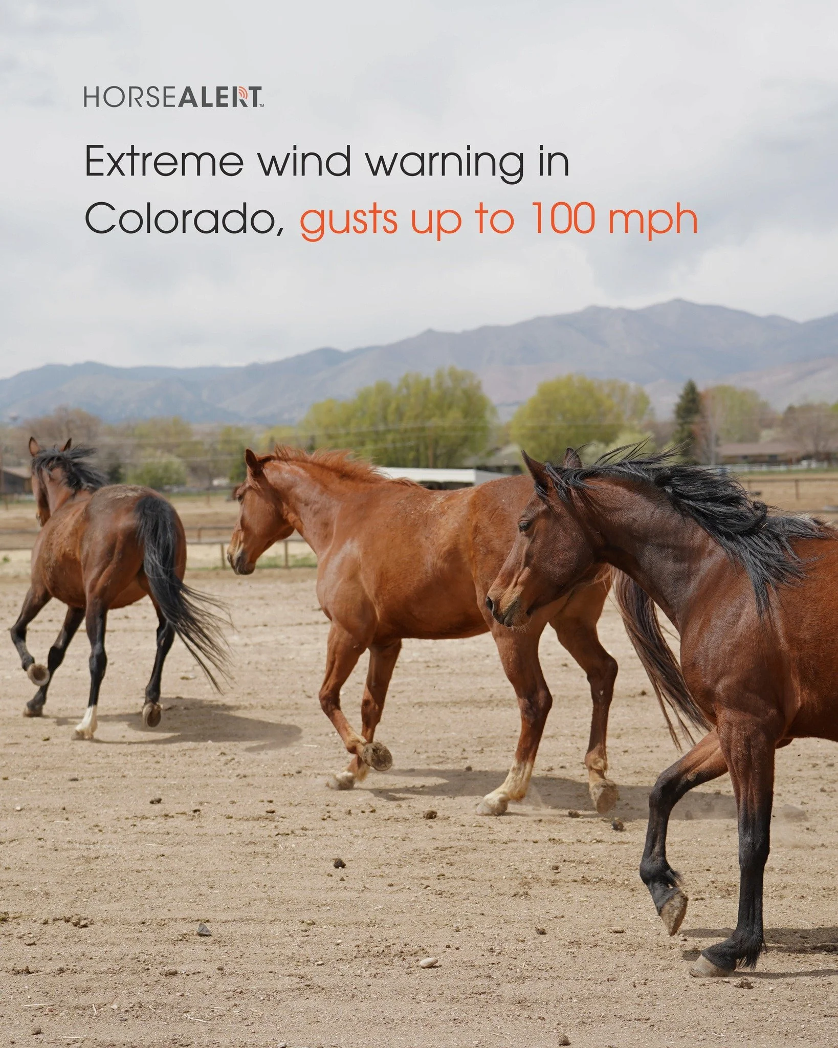 Extreme wind warnings in affect in Colorado today 💨

Strong winds often mean elevated wildfire risk in Colorado. Wind can spread fires quickly, leading to sudden evacuations. 

Make sure you and your horses have a plan. Download HorseAlert&rsquo;s E