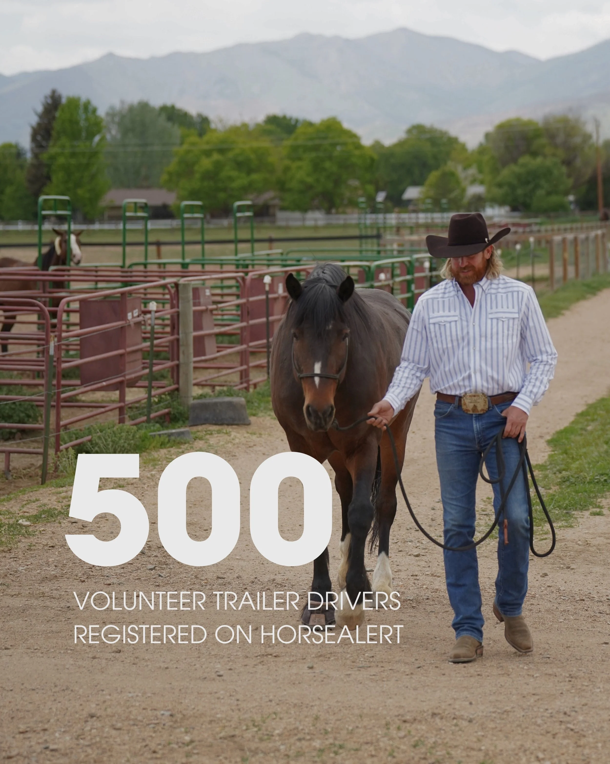 MILESTONE FOR HORSEALERT 🧡

We now have 500 volunteer drivers registered with a combined trailering capacity of 1,847 horses ready to help during natural disaster evacuations. 🐴🚚

But with 3,240 total horses currently registered, we still need mor