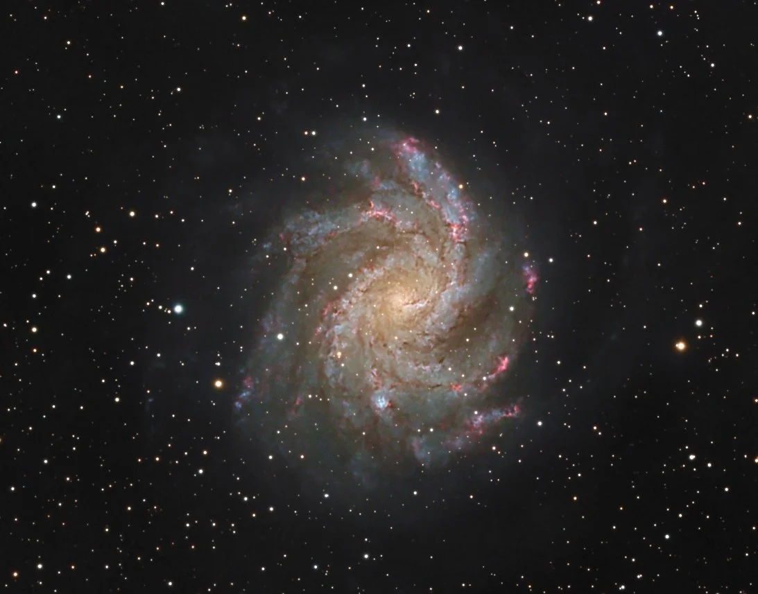 NGC 6946 Fireworks Galaxy - 12" RHA