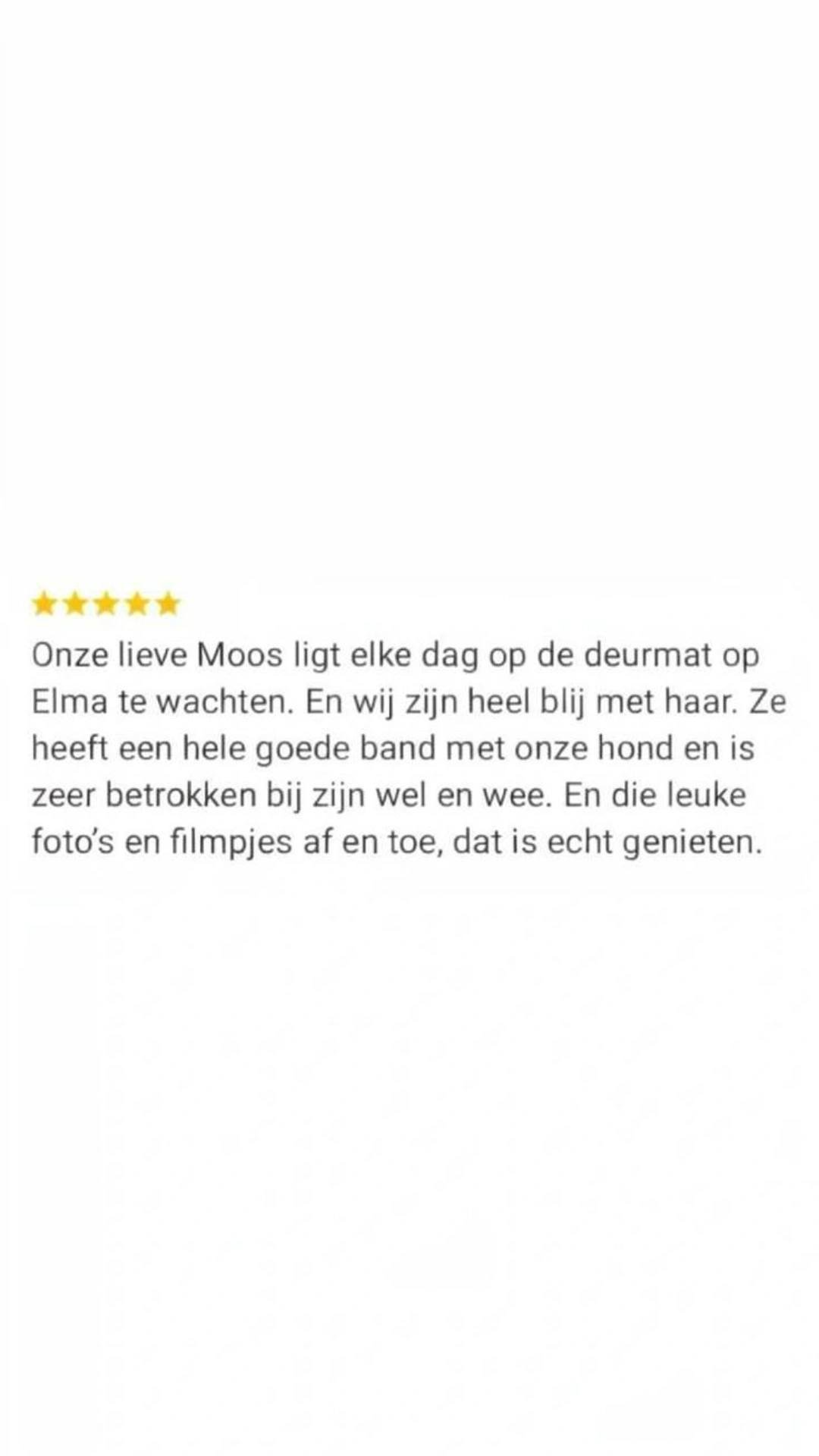 ⭐⭐⭐⭐⭐