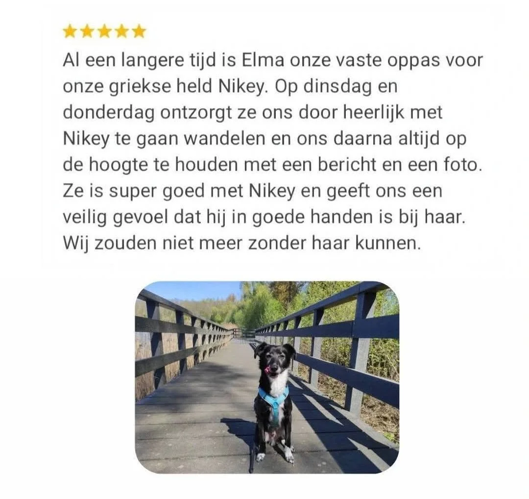 ⭐⭐⭐⭐⭐