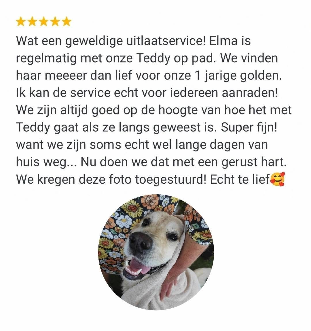⭐⭐⭐⭐⭐