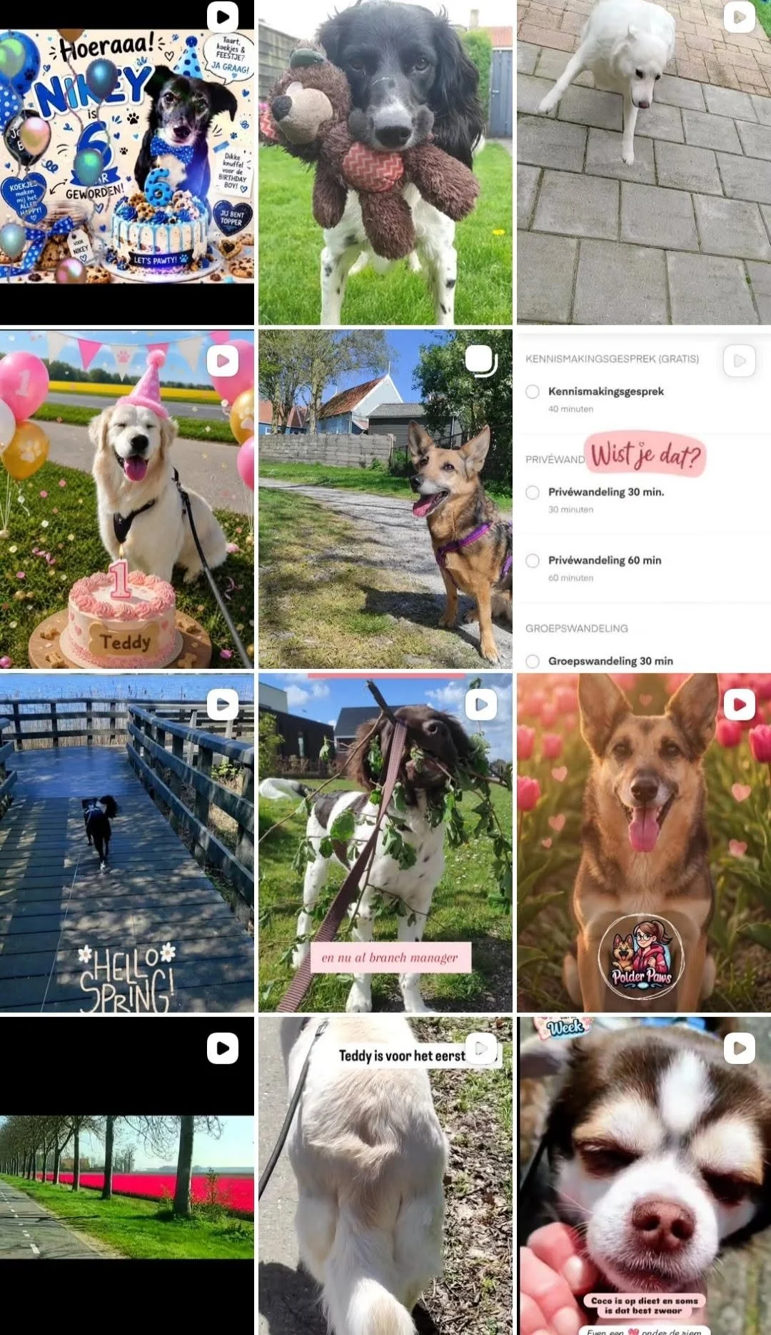 Instagram