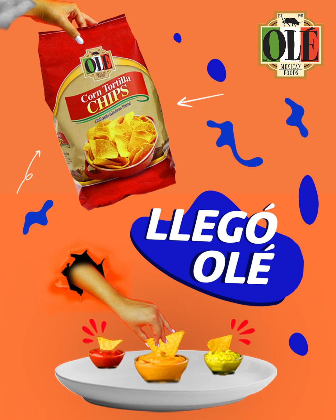 OLÉ_CD_NOVIEMBRE_IG4_V2.jpg