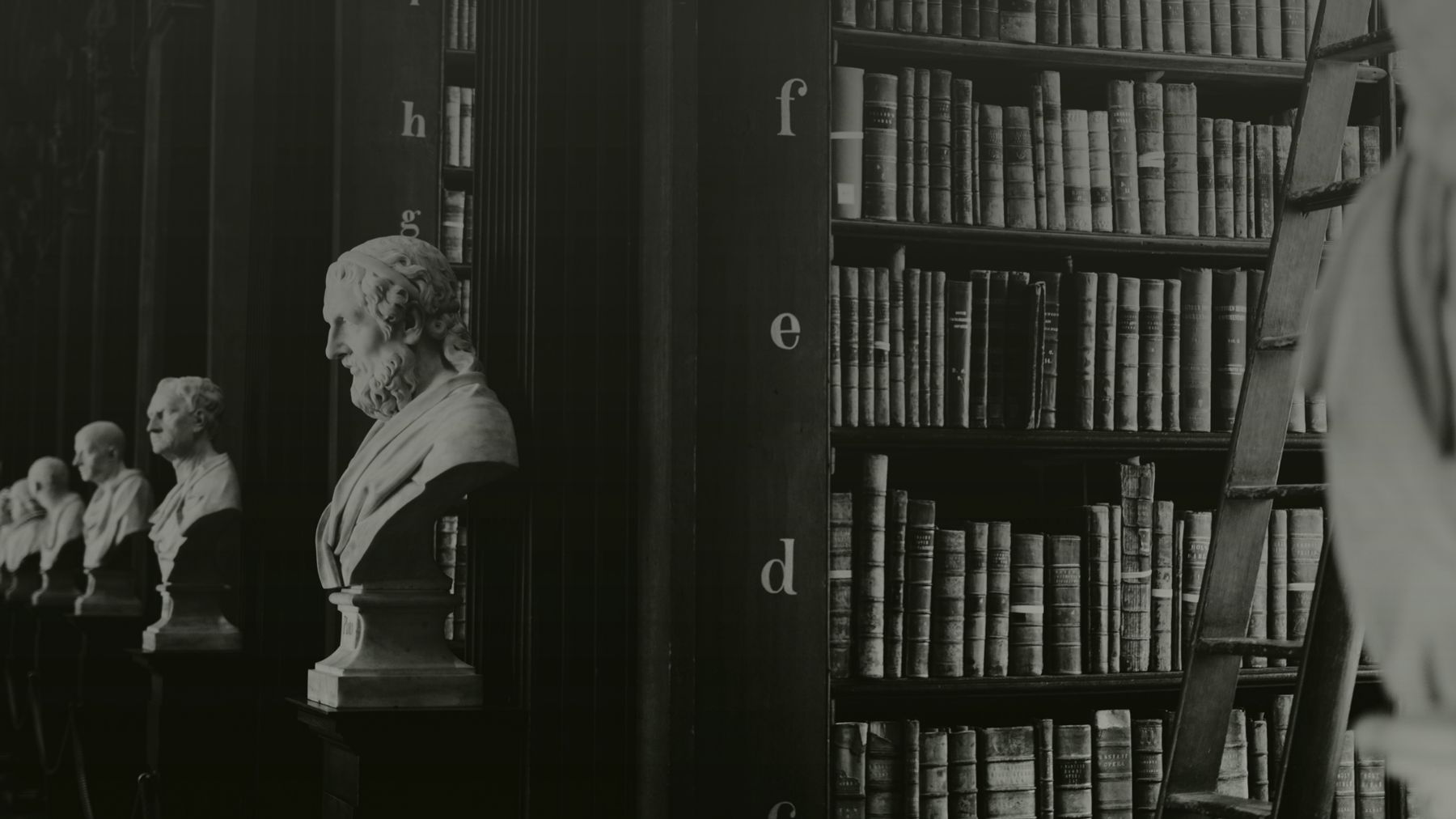 Reproducción en mármol de bustos de personajes históricos, alineados en una fila, frente a estanterías llenas de libros antiguos en una biblioteca o sala de estudio.