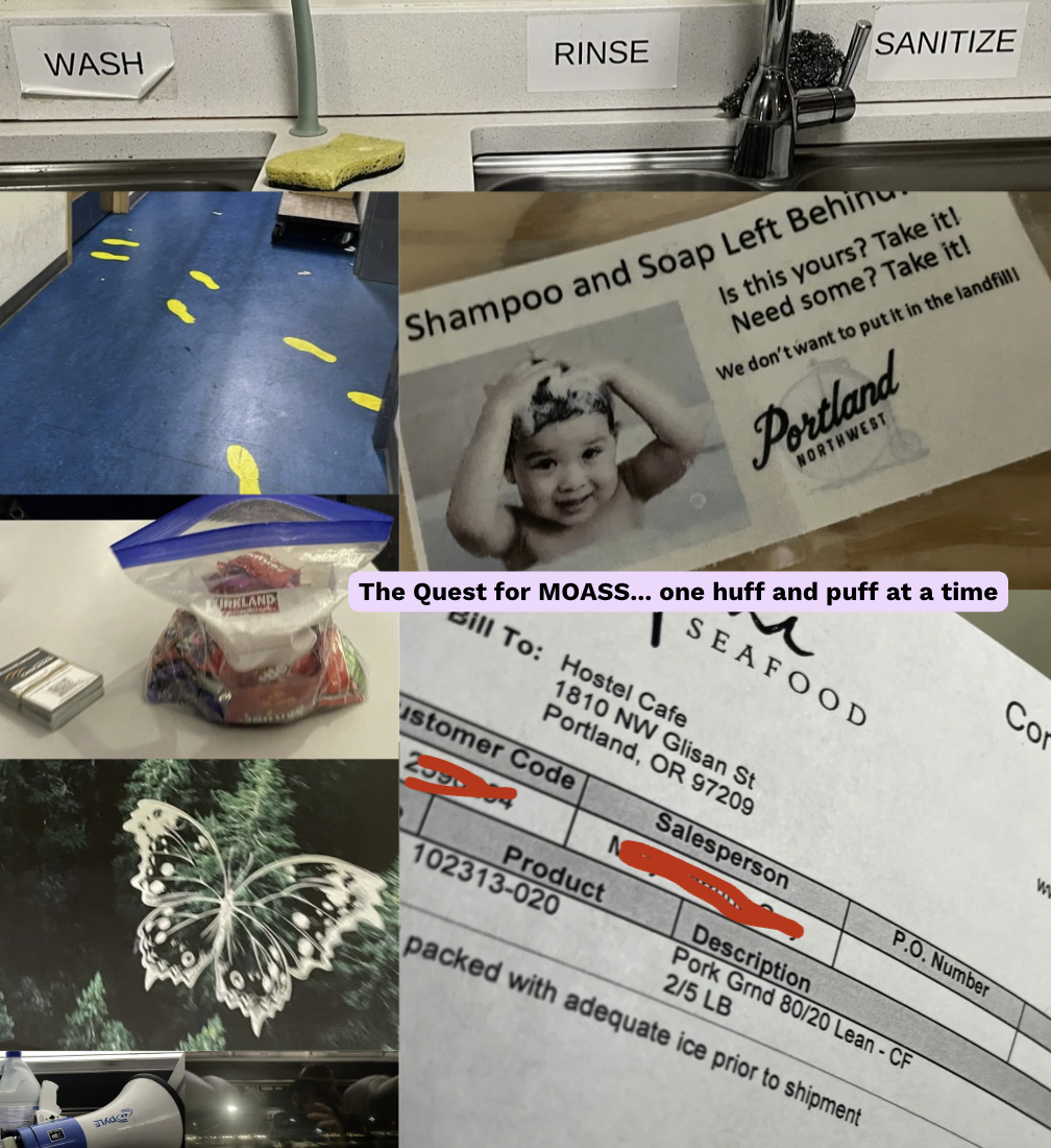 MOTHER WOLF TARGETS: Landfill Avoidance, Fashion Passion, The ‘Snowpiercer’ Breakdown, Orphanage Reflections, and Bean Farm Memories (Upon the Ma’amtrak Express)