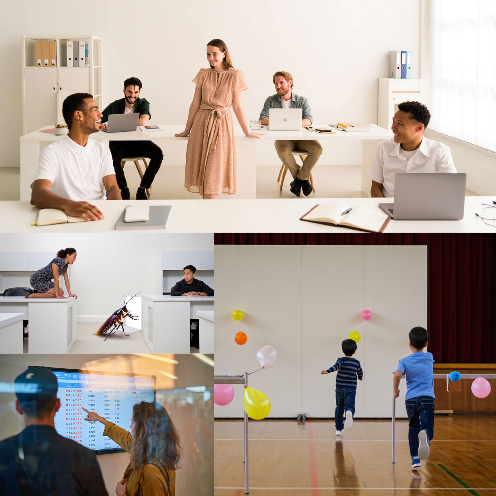 Purple Lined Cockroach, Confronting Talkshow Celebs, and Delayed Flights