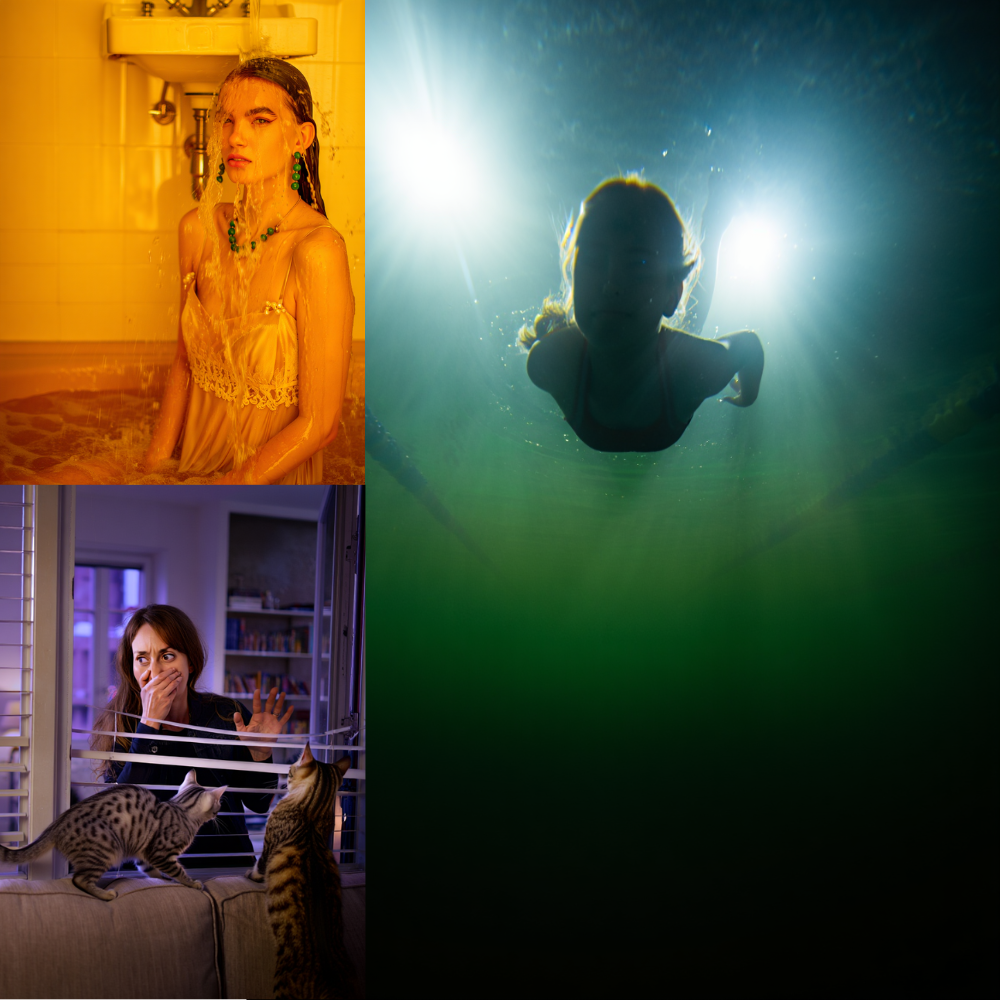 Weird Water Leaks, Moldy Pool, and Cat Invasion