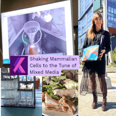 Growing Mammalian Cells, Drugs, and Vaccines in Shakers?  A Mini Conference