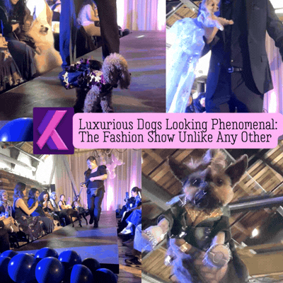 Posh Pups Prance for Charity: VIP at the Dog Fashion Show