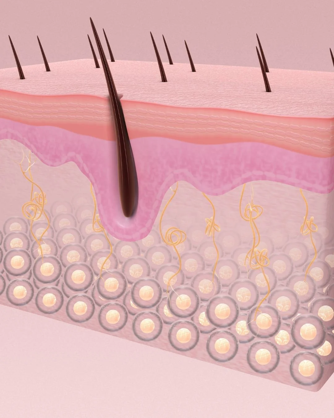 Picture of skin in a blogpost by dr caroline warden at her doctor led skin and aesthetic clinic in hale, altrincham/south manchester about collagen and stimulating treatments like tretinoin, microneedling, profhilo