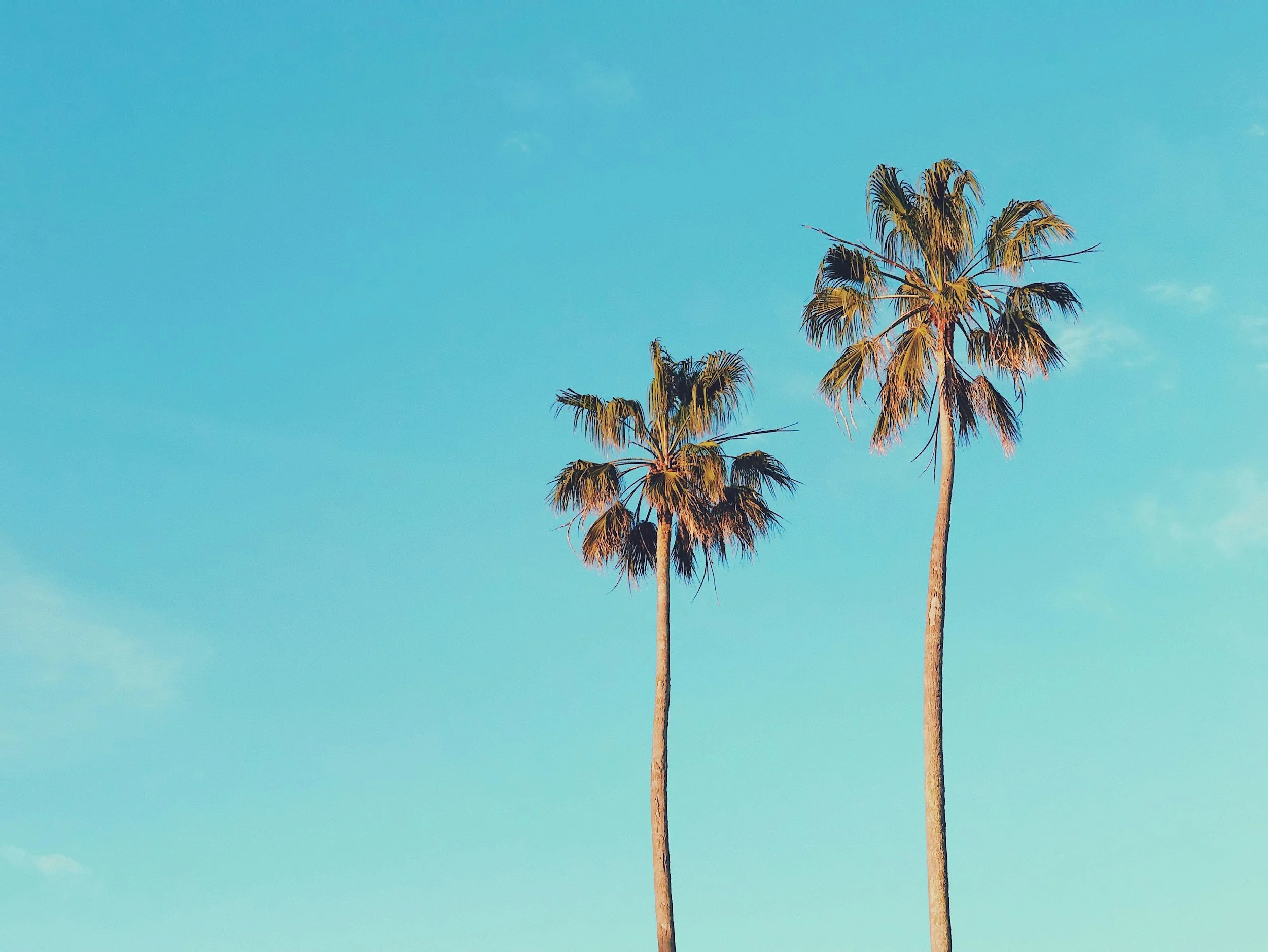 Summer Skincare Trends 2025: The Products Worth Investing in