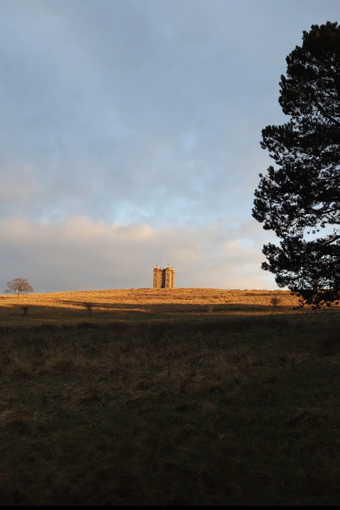 A castle atop a hill during sunset, with a large tree on the right and a few smaller trees on the left, under a partly cloudy sky.