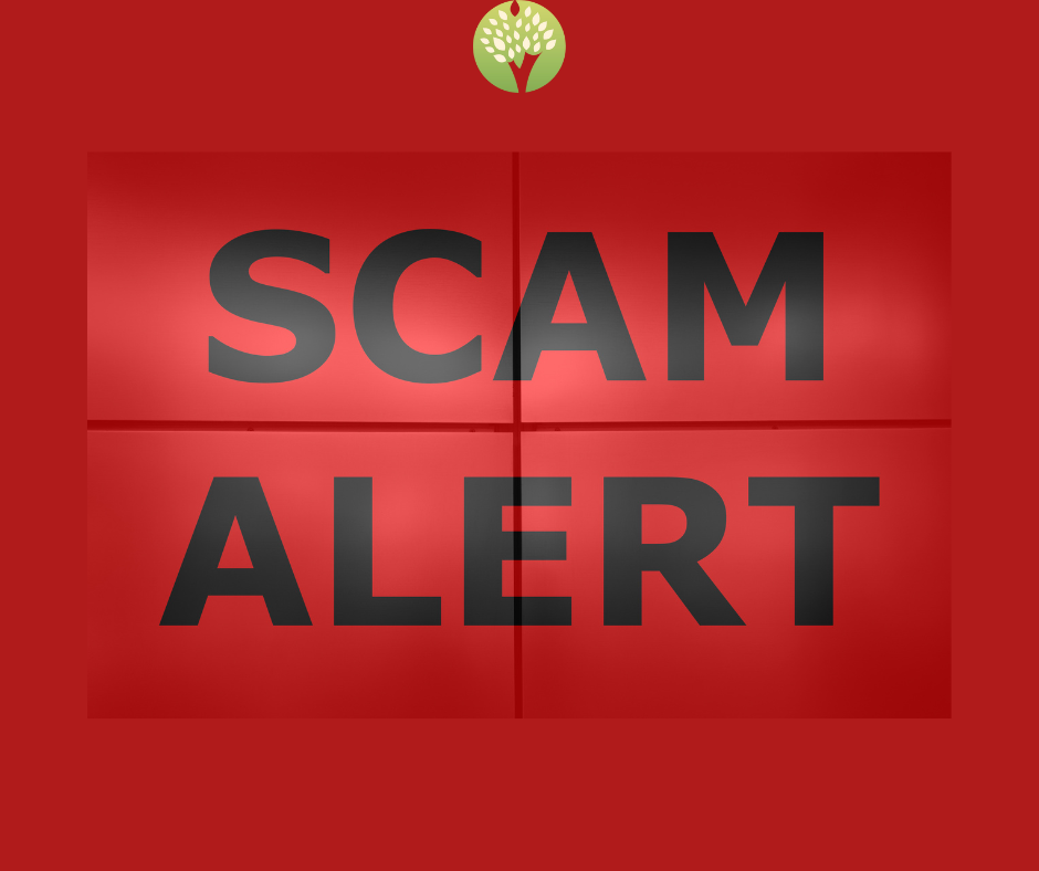 Scam Alert (Again): The Investment Traps Hiding in Plain Sight, And What You Can Do About It
