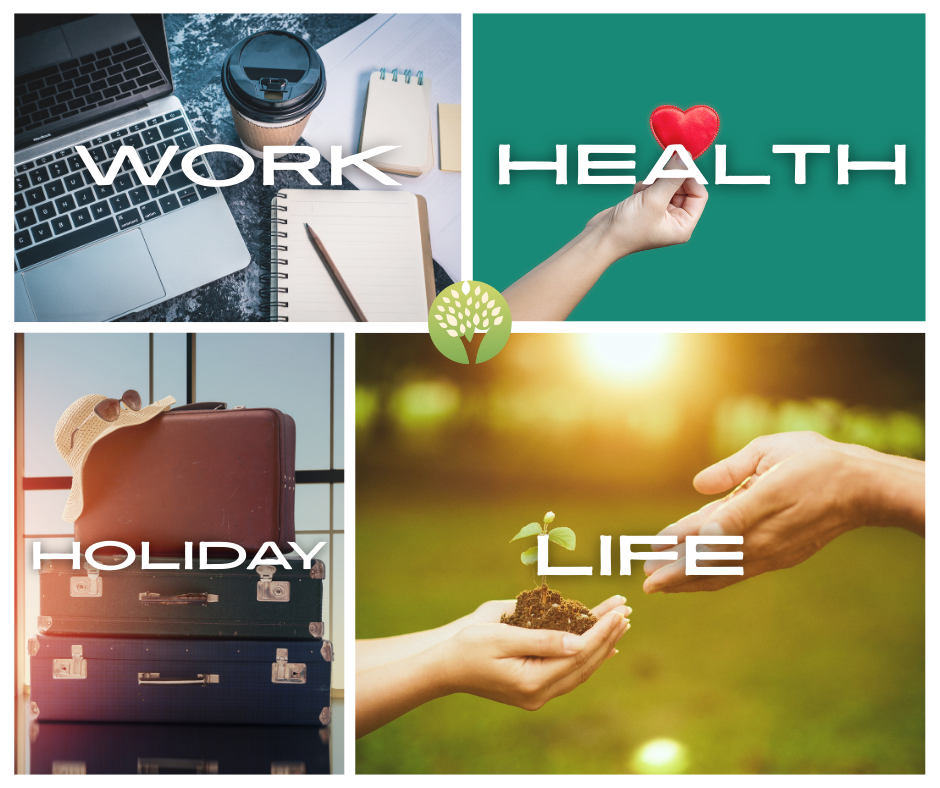 How Long Will You Work, Travel, Stay Healthy, and Live? A New Way to Think About Ageing