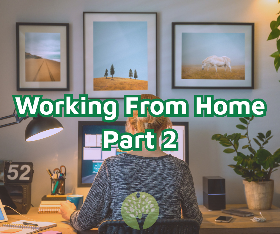 Working From Home: The Hidden Costs of Working From Home: What No One Adds Up Properly 