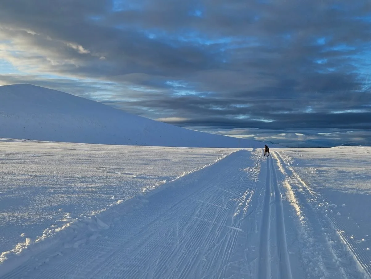 Vinteren er p&aring; vei❄️🩵
.
.
#fjellskolen #rondeheim #leirskole #fjellg&aring;rd #ᴡɪɴᴛᴇʀᴡᴏɴᴅᴇʀʟᴀɴᴅ #h&oslash;vringenh&oslash;yfjellsgrend #rondane