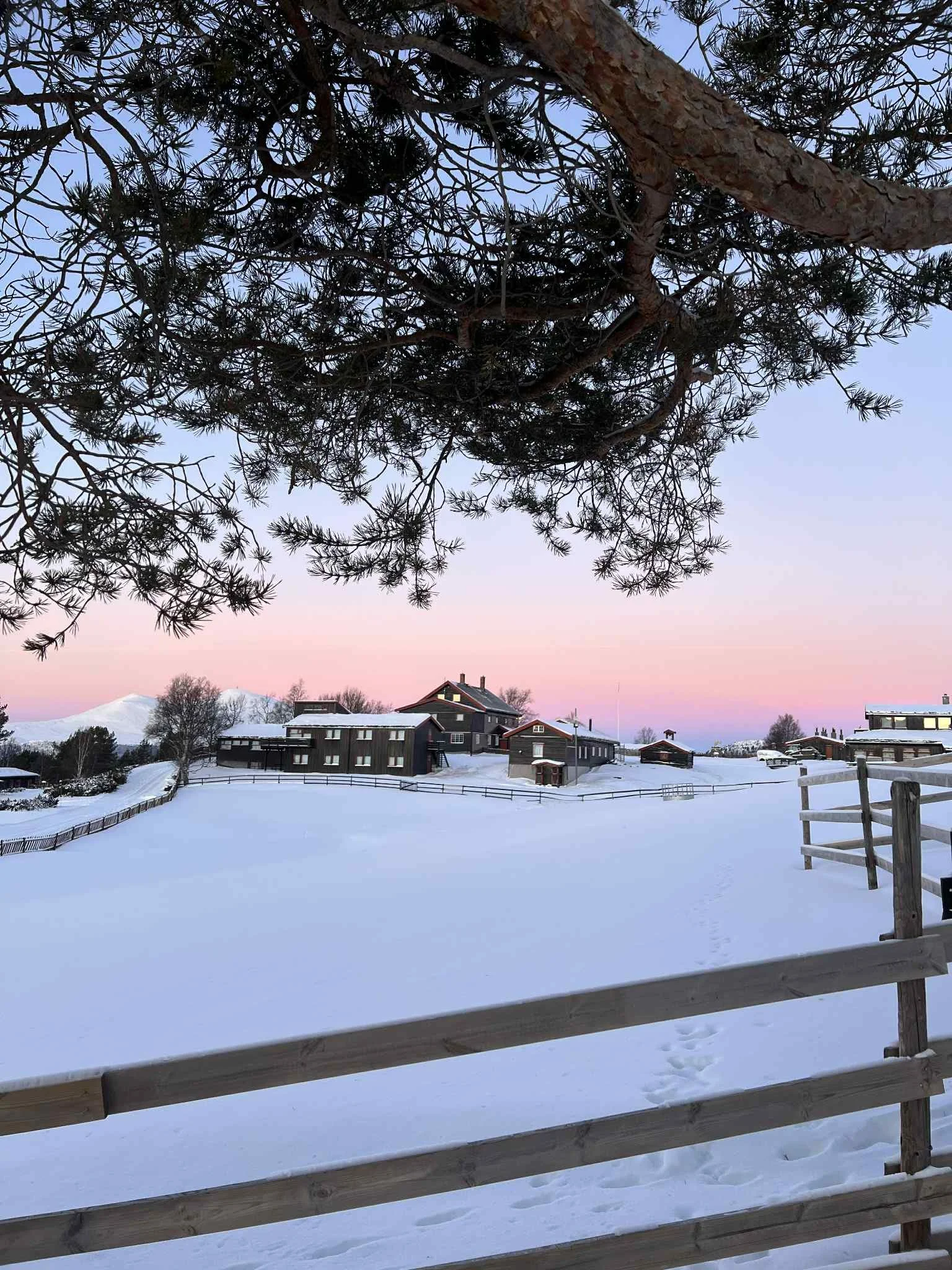 Fjellskolen i soloppgang.jpg