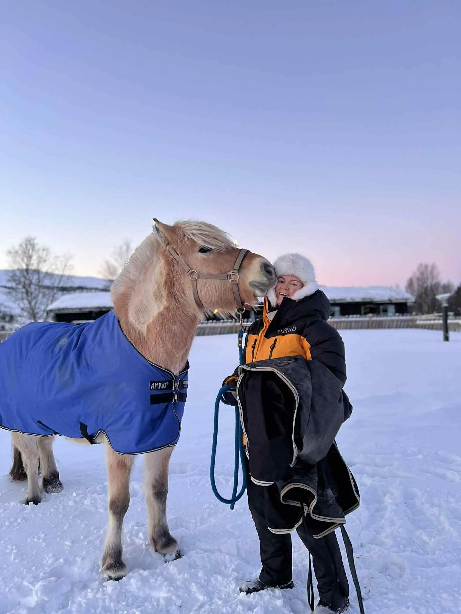 Uke 7 og 8 : Glade gjester