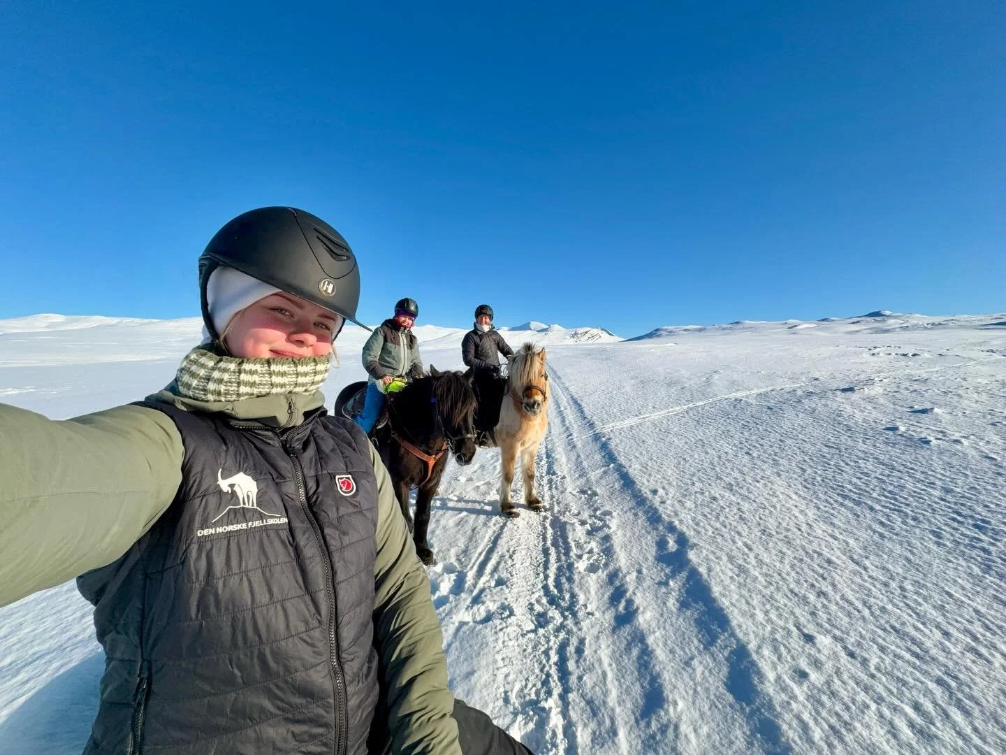 Rondane fra hesteryggen🏔️
Lyst til &aring; v&aelig;re med? Ta kontakt med oss🥰
.
.
#fjellskolen #rondeheim #fjellridning #h&oslash;vringenh&oslash;yfjellsgrend #rondane 
l