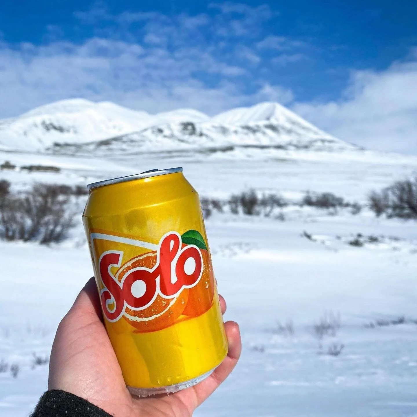 🐣P&Aring;SKE🐣

Det g&aring;r mot p&aring;ske og hva passer vel bedre enn &aring; tilbringe den sammen med familie og venner i fantastisk natur! Velkommen til oss for sosiale stunder med god mat, aktiviteter og skiturer, dyrestell og alt som skal ti