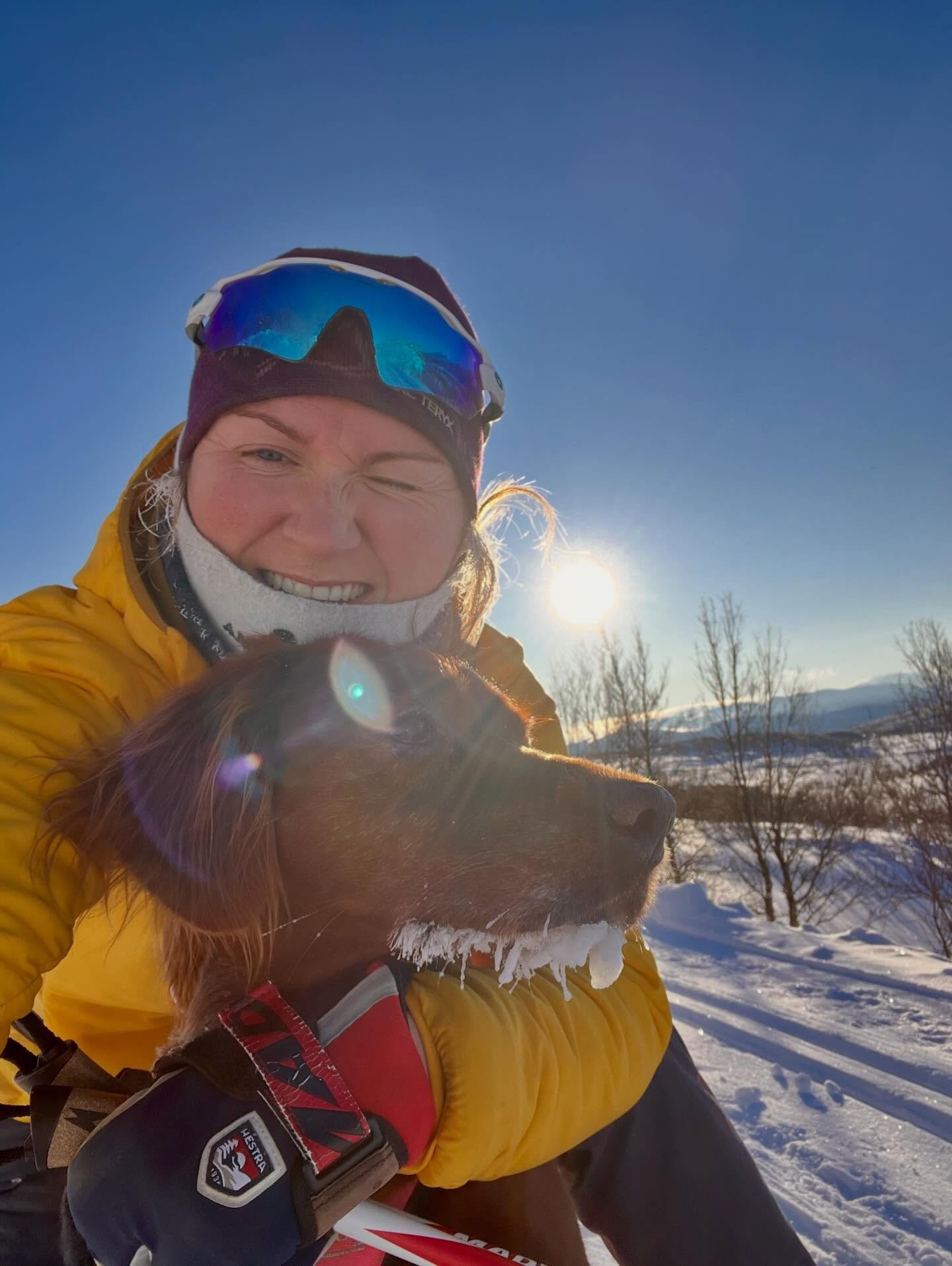 Postkort fra H&oslash;vringen❄️
.
.
#fjellskolen #rondeheim #winterwonderland #h&oslash;vringen #h&oslash;vringenh&oslash;yfjellsgrend #langrenn #irsksetter