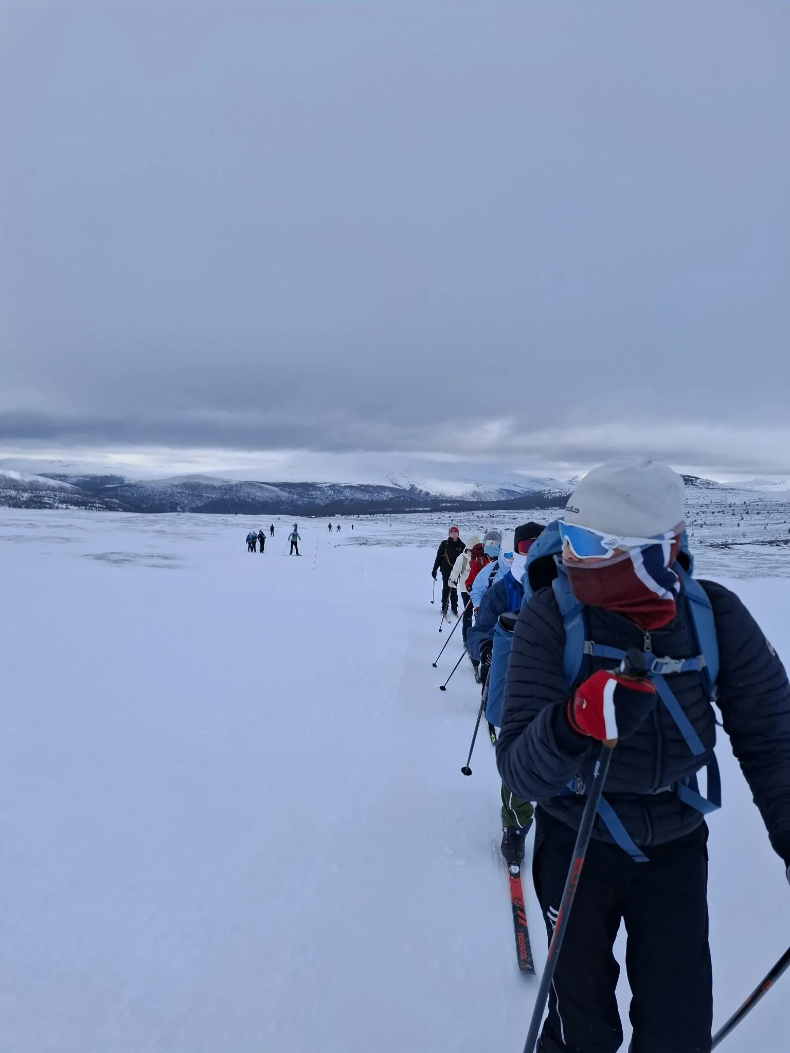 Uke 11: Mestring i kulda