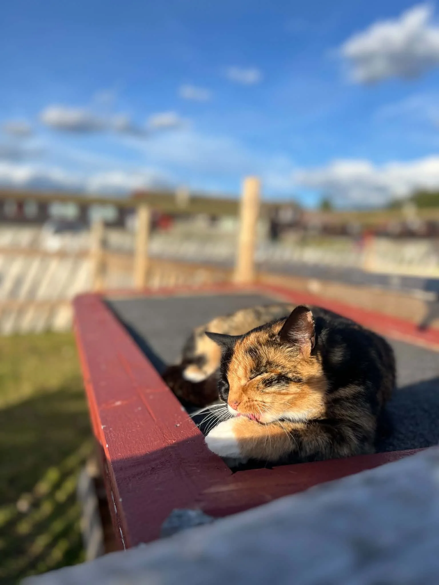Åpen gård i høstferien