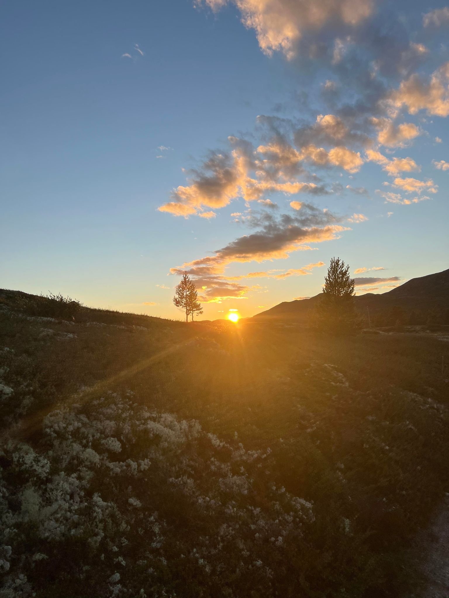 Solnedgang.jpg
