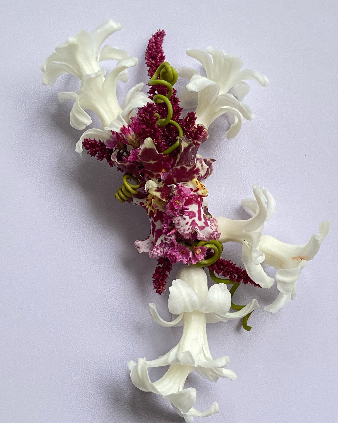 Close up of the Emma &amp; Dani&rsquo;s lapel flowers! Hyacinth, orchids &amp; passionfruit tendrils 🌙
A little unique a little special