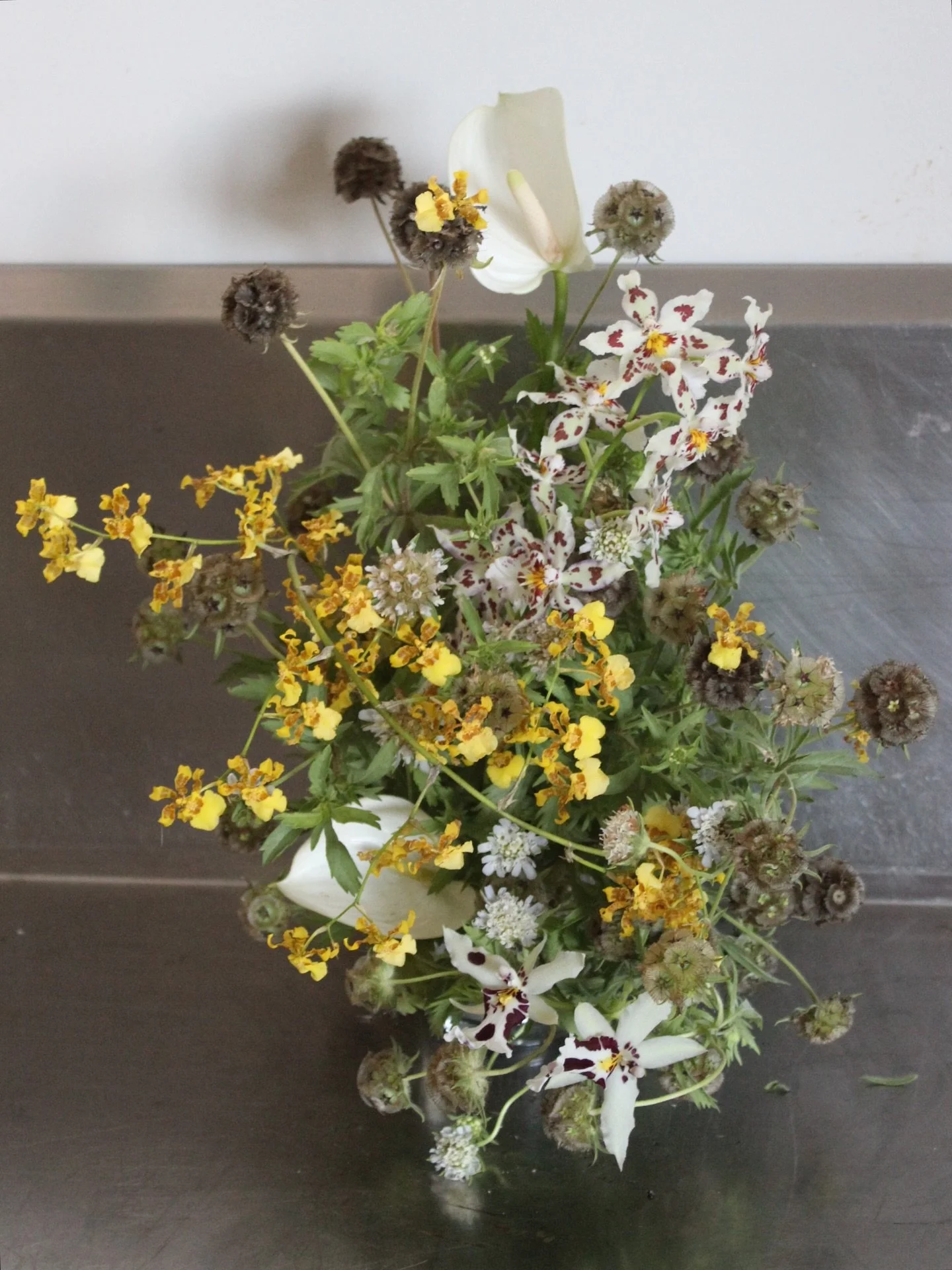 Making movement in stillness 🫧