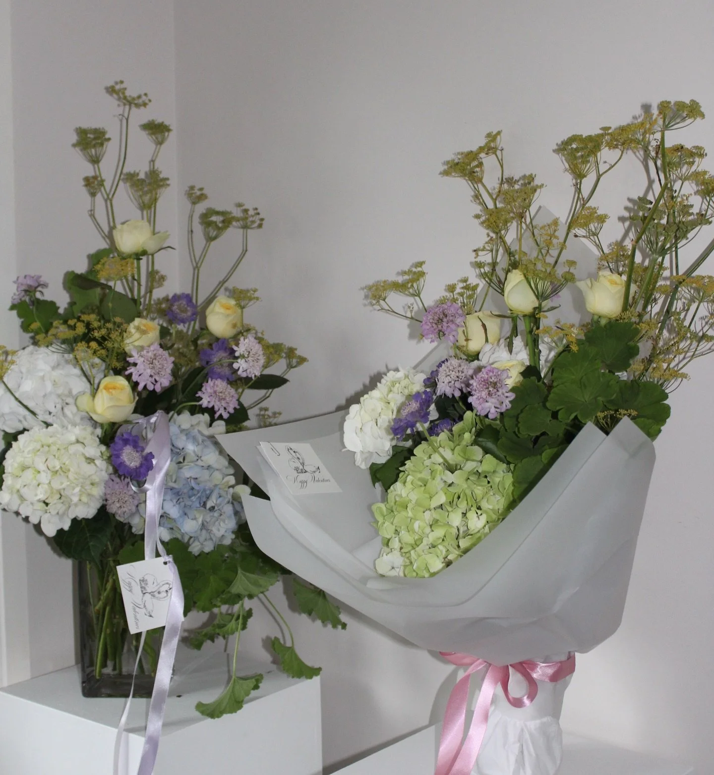 Valentine&rsquo;s Day 

It&rsquo;s a pleasure to witness to love in motion 🤍