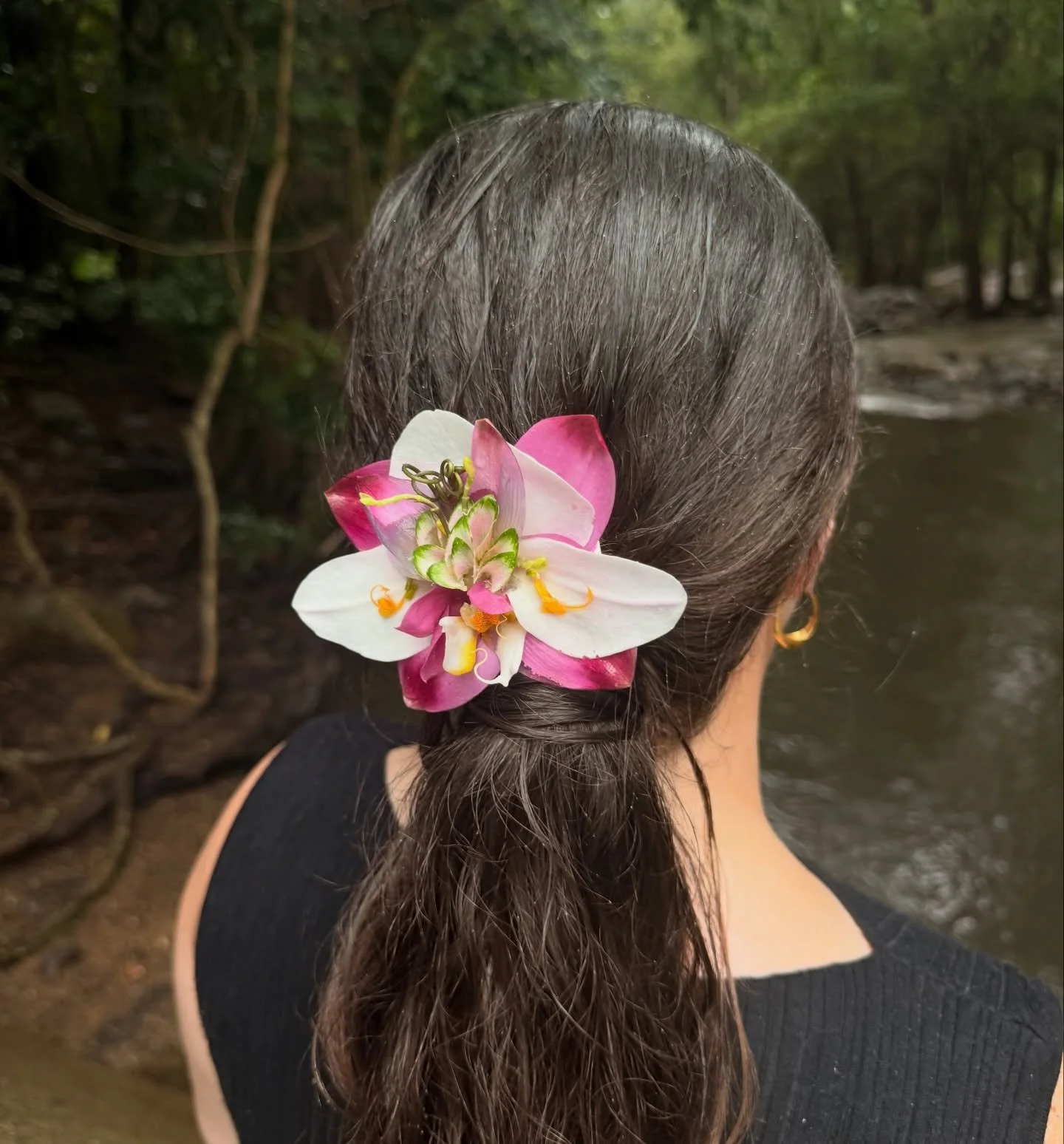 Frankenstein Flowers in the rain 🌧️ 

Last week I had many damaged orchid flowers from my work. I couldn&rsquo;t throw them away.. so I soaked them in water over night, they sprung back by the morning time but still had signs of damage. Naturally, I