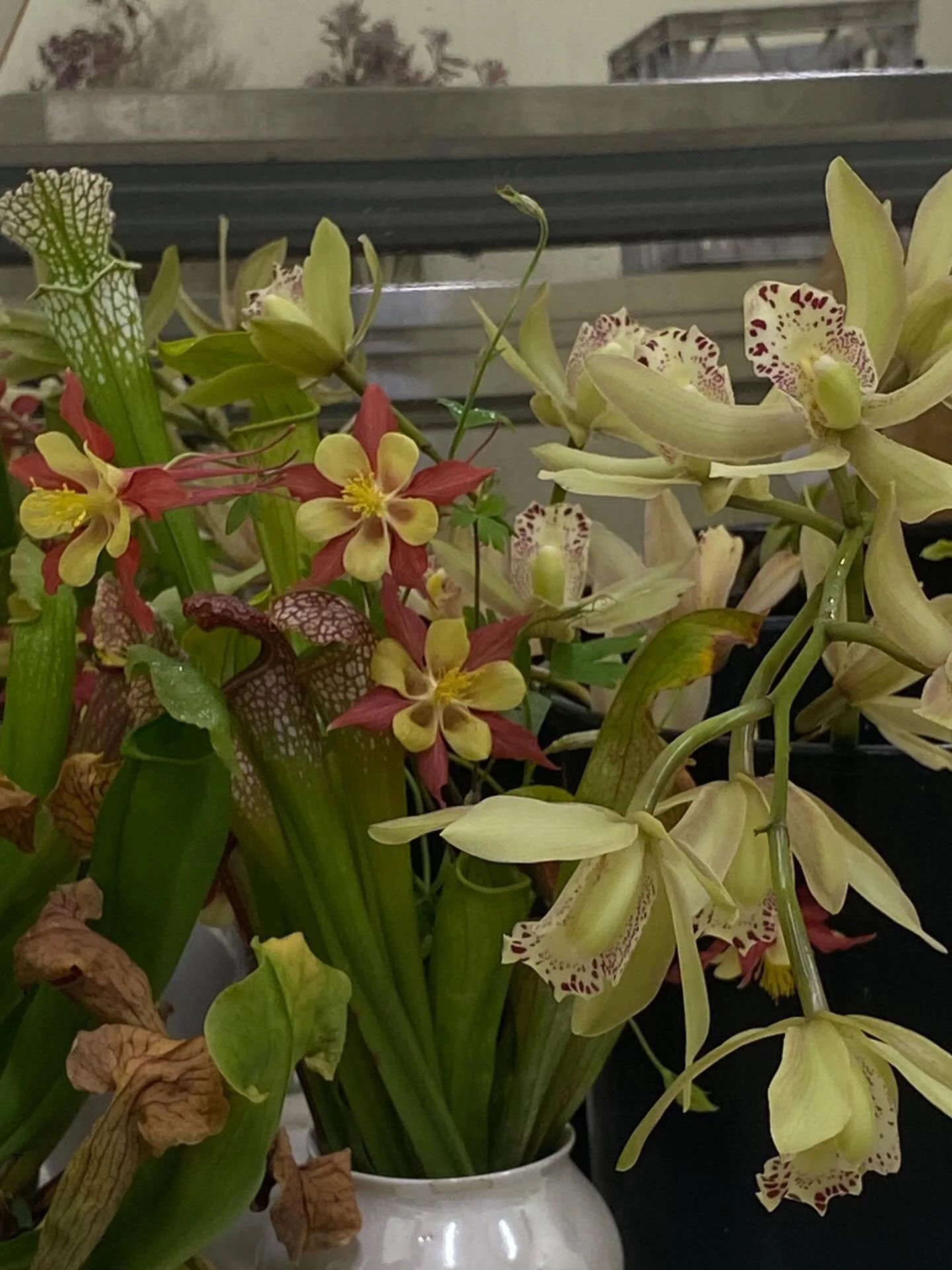 Aprils flowawowa pics